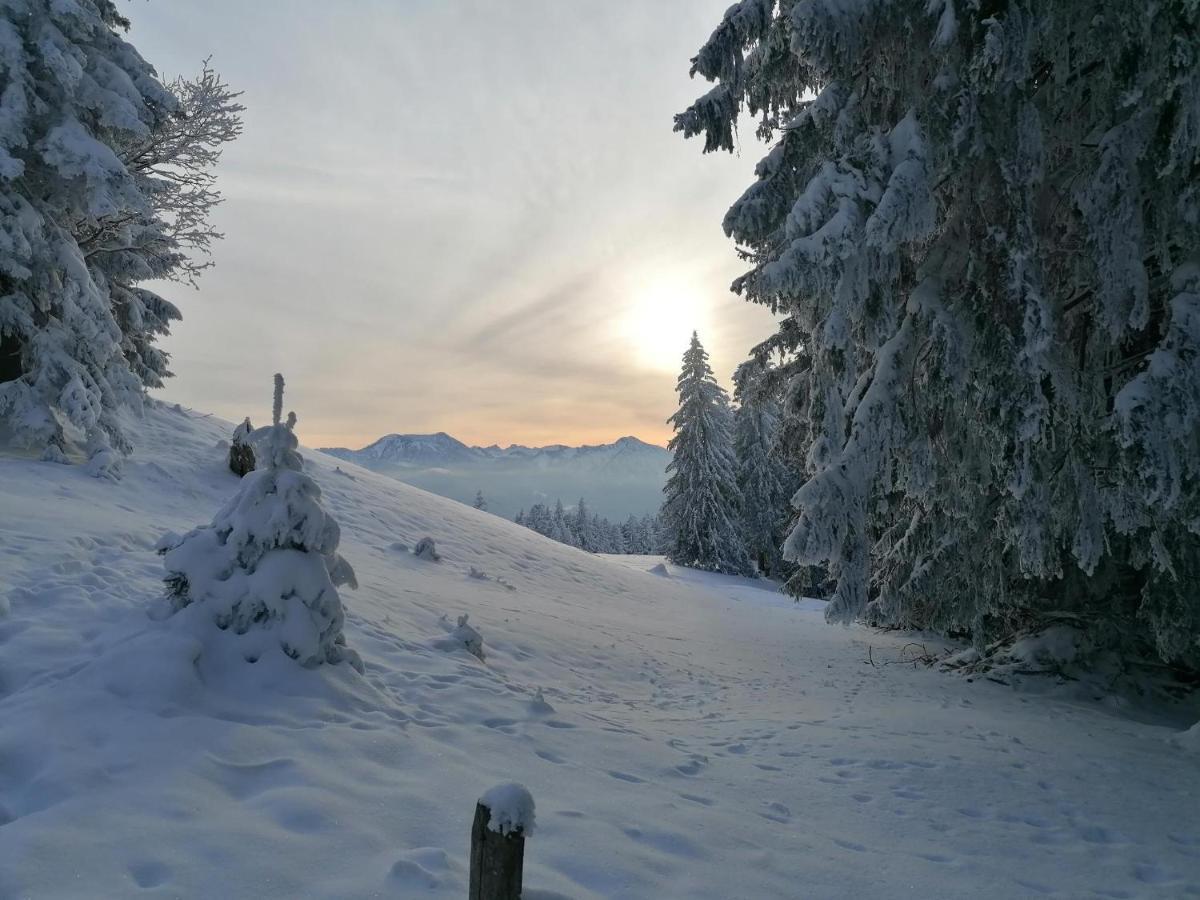 Ferienhaus Region Tegernsee ミースバッハ エクステリア 写真