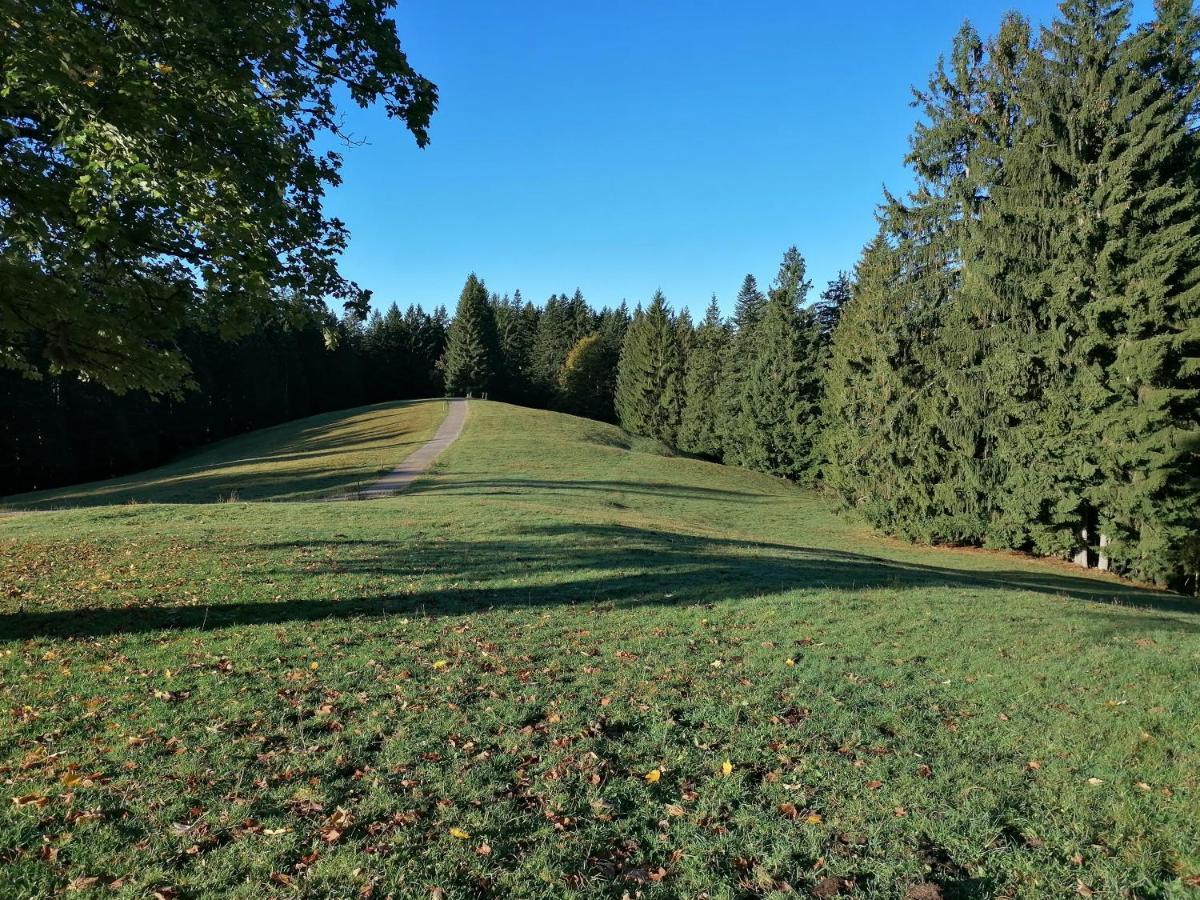 Ferienhaus Region Tegernsee ミースバッハ エクステリア 写真