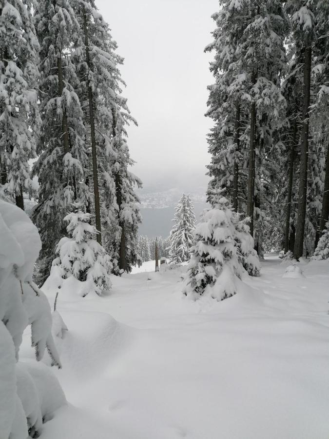 Ferienhaus Region Tegernsee ミースバッハ エクステリア 写真